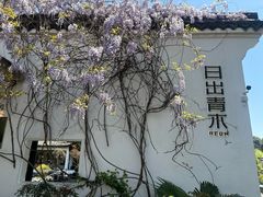 -日出青木