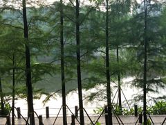 -重庆彩云湖湿地公园
