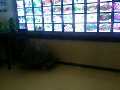 -留芳·文旅古月楼(老街店)