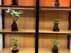 -手舒·采耳按摩·影院足道spa(莫愁湖东路店)