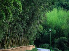 -杭州植物园