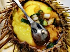 -小平岛開海水饺(浑南店)