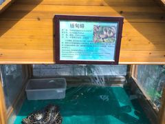 -上海大自然野生昆虫馆(东方明珠·爬宠昆虫探索中心)