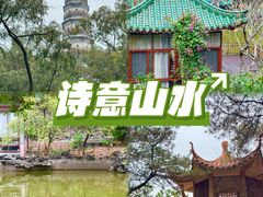 -榴花公园