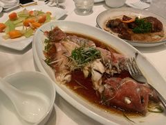 清蒸石斑鱼-郑州绿地JW万豪酒店-中餐厅