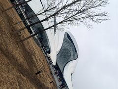 -哈尔滨大剧院