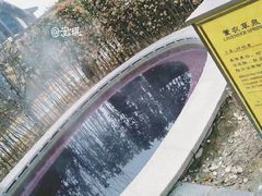 -大连金石滩绿发温泉假日酒店