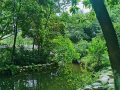 -成都市活水公园