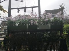 -自然餐厅(Phuket)