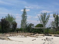 -云漫湖生态度假公园