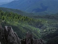 -芦芽山旅游度假区