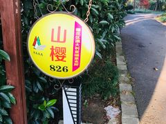 -崇明东平国家森林公园烧烤房车露营地