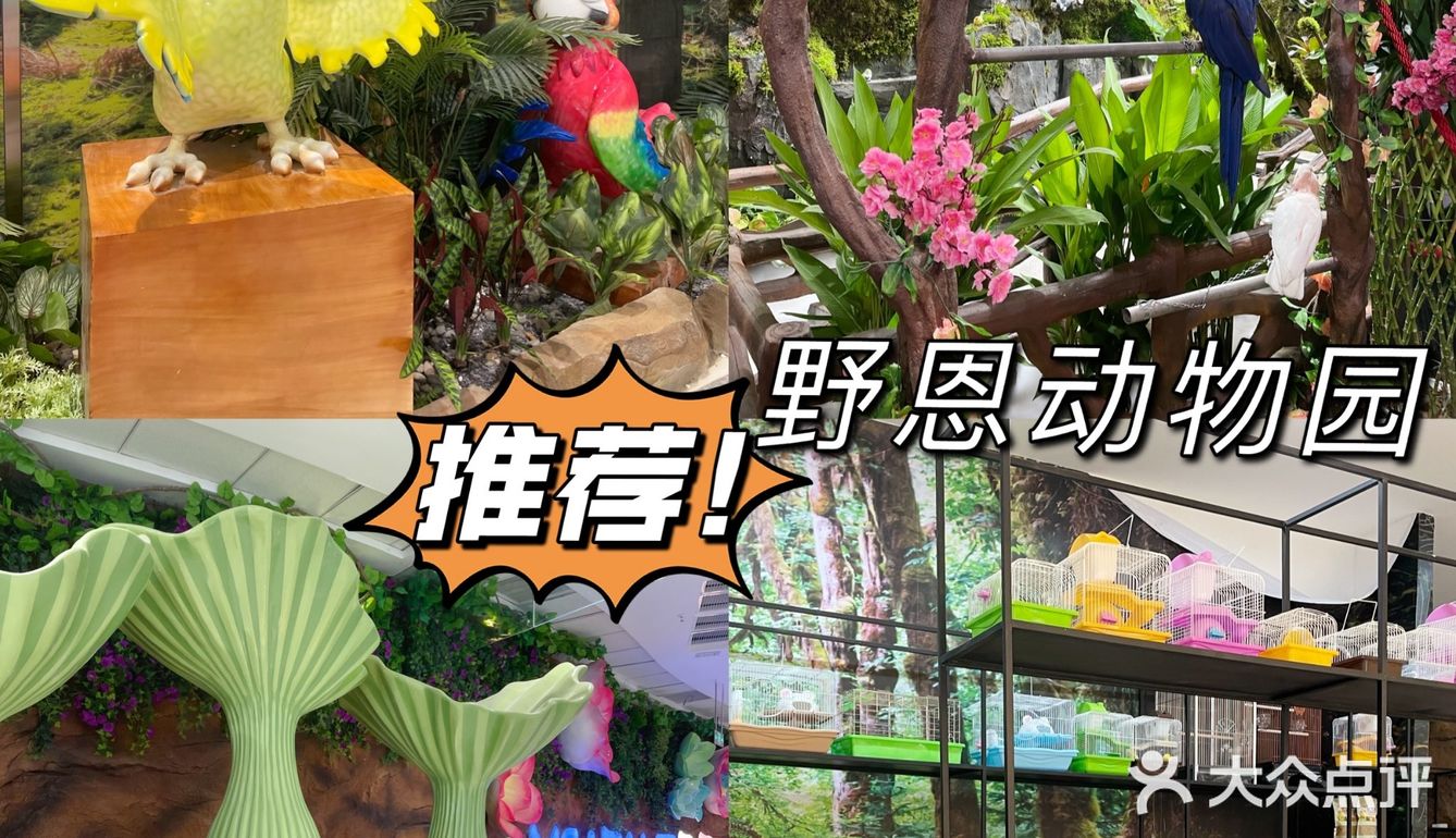 深圳龙岗也开了一家万达广场啦！