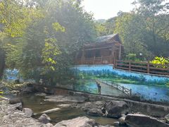 -广州白江湖森林公园