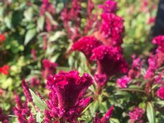 -金石唐风国际温泉会馆