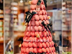 大堂-黛汀烘焙DAINTY BAKERY(代字行合生汇店)