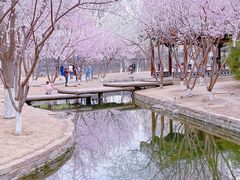 -三里河公园