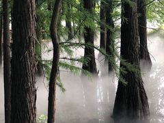 -东湖落雁景区