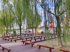 -西青郊野公园