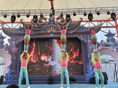 -海合安武汉极地海洋公园