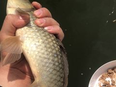 -酷鱼垂钓CLUB(朝阳区博大路店 )