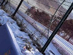 -东北亚滑雪场