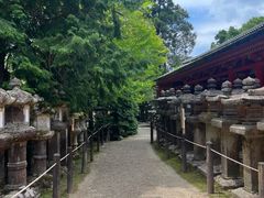 -奈良公园