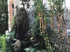 -丽江庭院之丽江往事(安定门店)