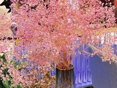 -木棉花开(中心城店)