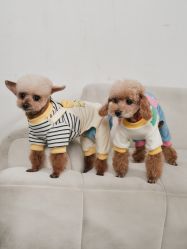 -瞳摄影写真旗舰店