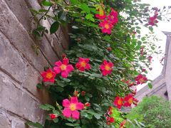 -回龙窝历史文化街区