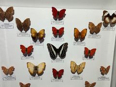 -吉林省自然博物馆