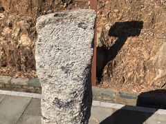-羚羊峡古栈道森林公园