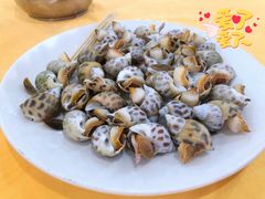 花螺-蚝专家(北滘店)