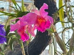 -国家植物园南园