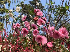 -桃花涧