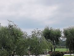 -怡得观滇餐厅·地道昆明菜·1996(海埂大坝店)