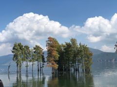 -大理洱海