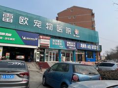 -瑞派雷欧宠物医院·24h夜诊·心脏骨科牙科·全科重症转诊中心(无影山店)
