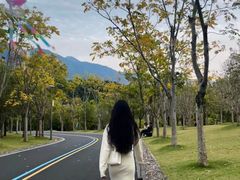 -牛岗山公园