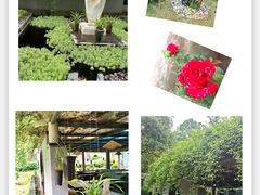 -生态园山庄(森林公园店)