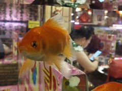 -粗粮人家(簋街店)