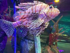 -沈阳海洋探索中心