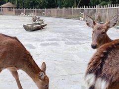 -金沙遗址博物馆