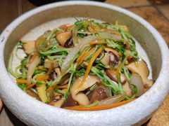 杂菜-山杏yama-katsu·吉列炸物