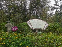 -缙云山景区