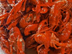 -四点半烤吧(港龙华侨城店)