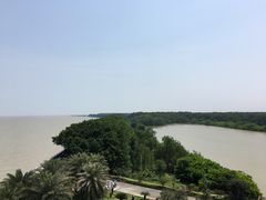-大湾区中央湿地公园