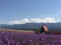 -新疆那拉提国家旅游度假区