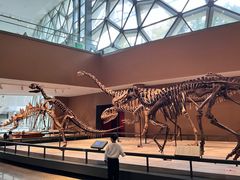 -Behring World of Animals(上海自然博物馆店)